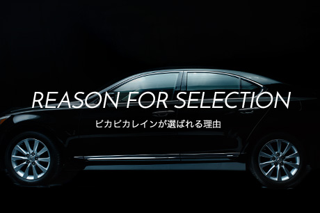 REASON FOR SELECTION ピカピカレインが選ばれる理由